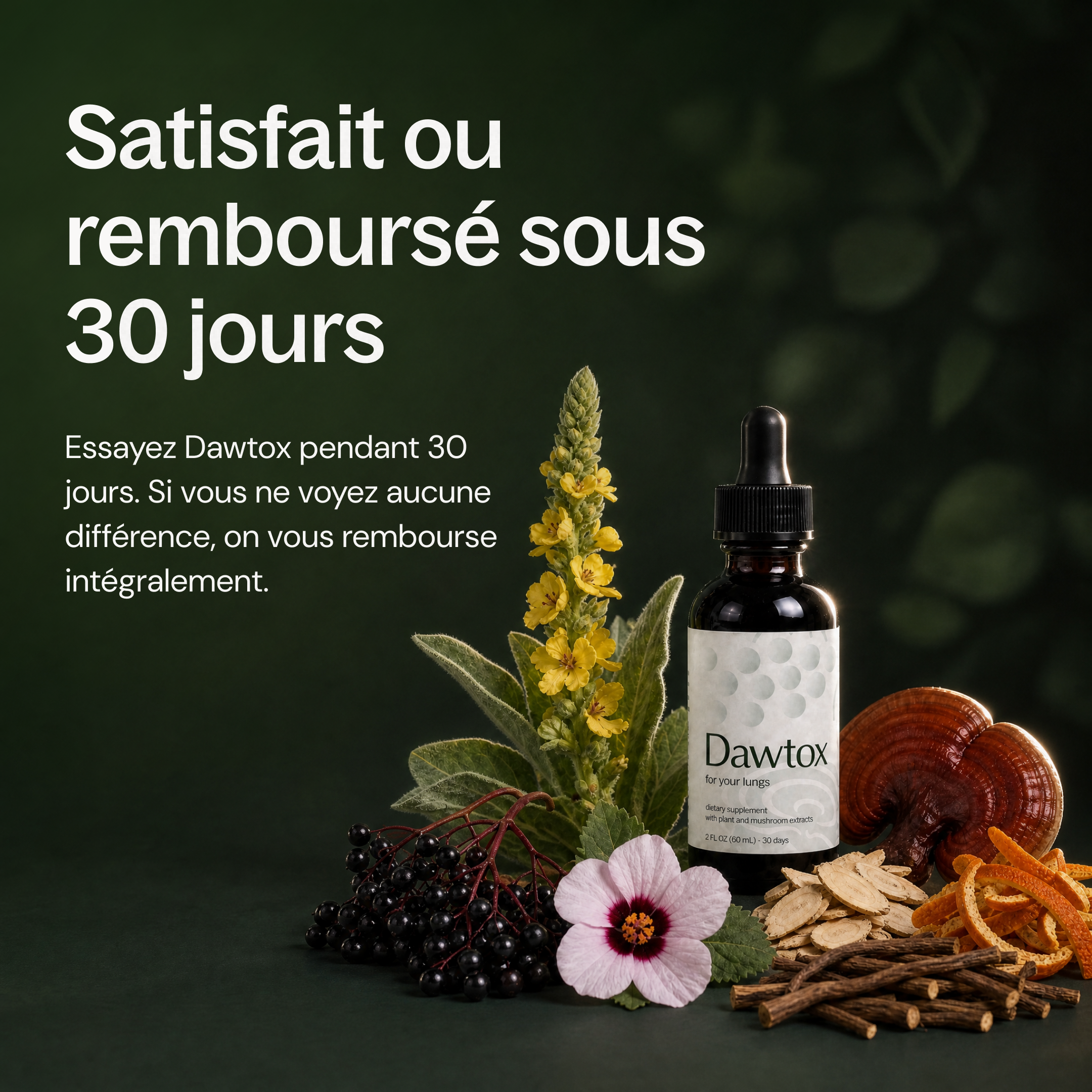 Détox Poumons 3-en-1