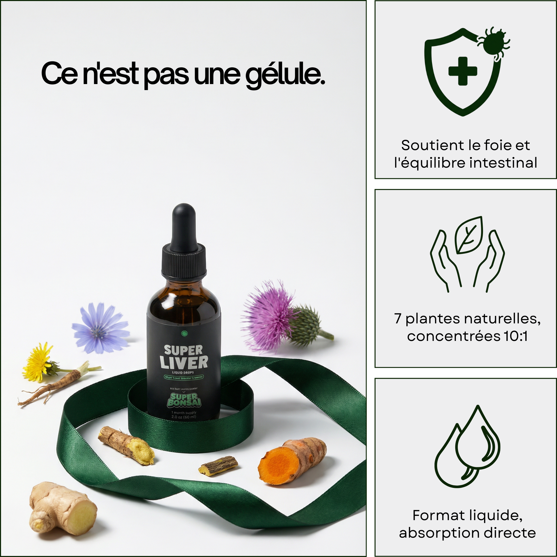 Super Liver - Soutien Foie & Intestin