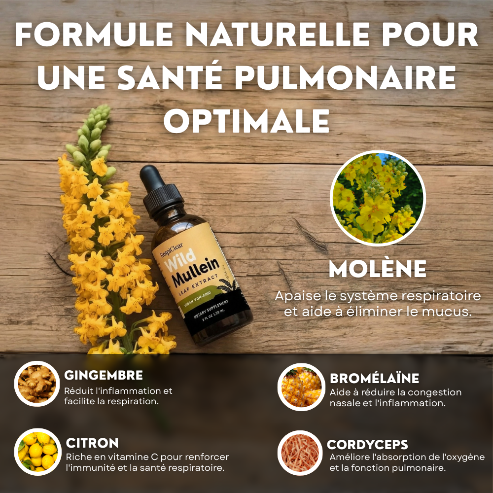 Détox Poumons 3-en-1