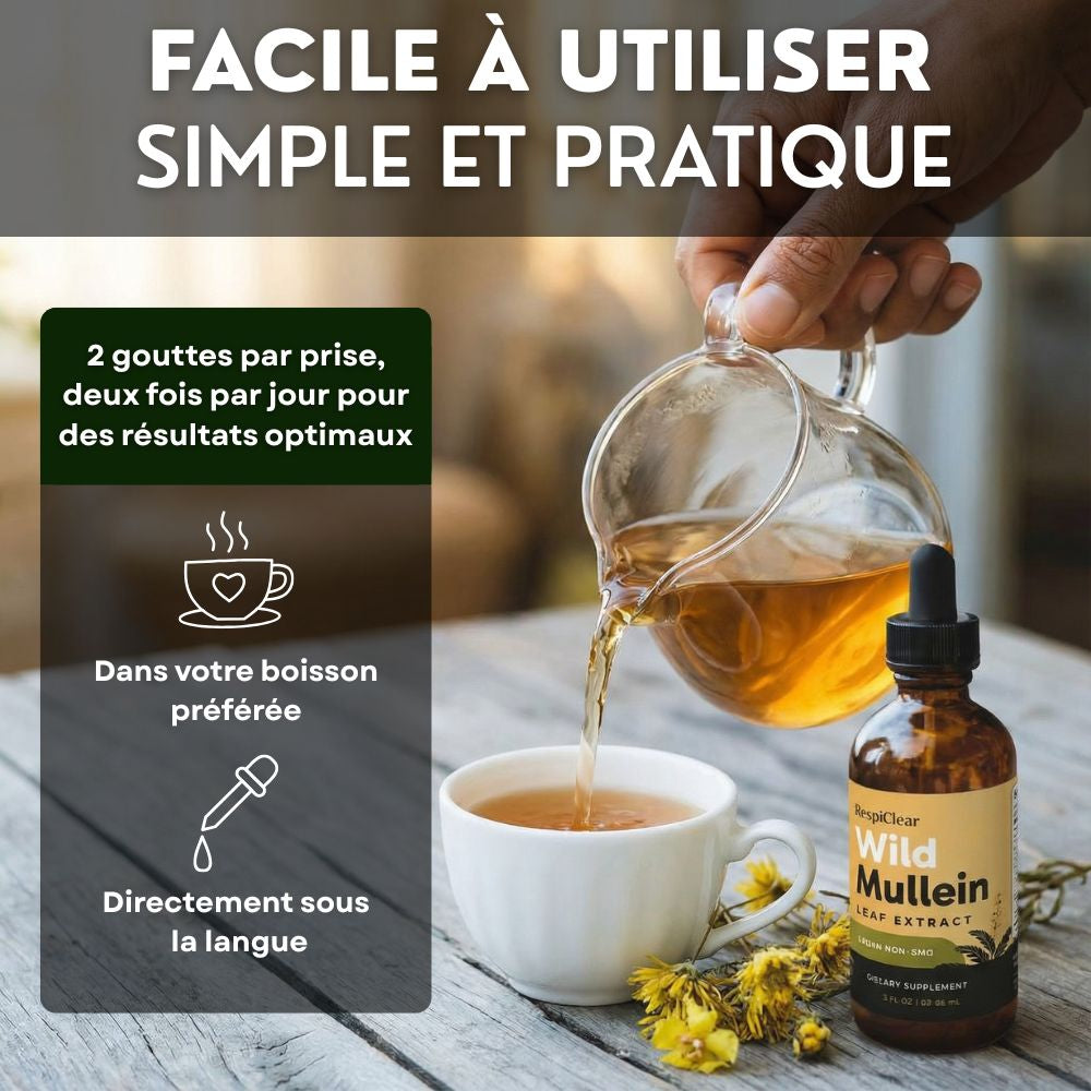 Détox Poumons 3-en-1