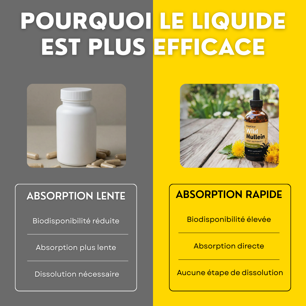 Détox Poumons 3-en-1