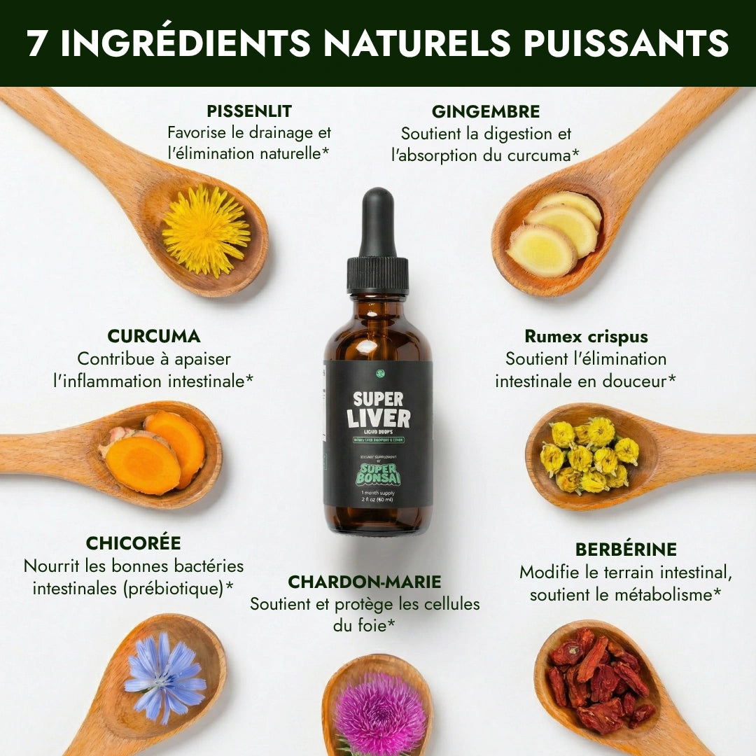 Super Liver - Soutien Foie & Intestin