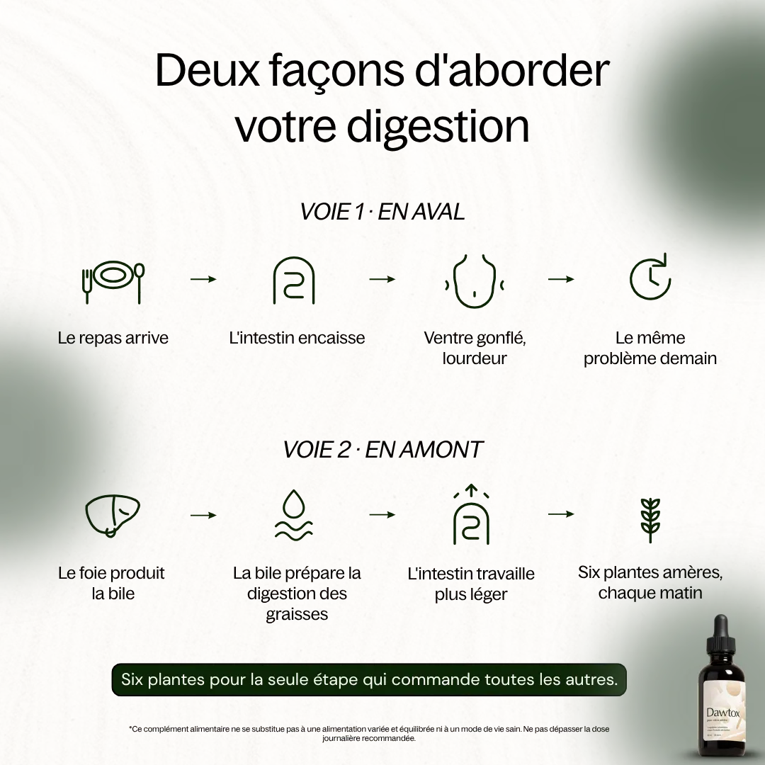 Dawtox - Soutien Foie & Intestin