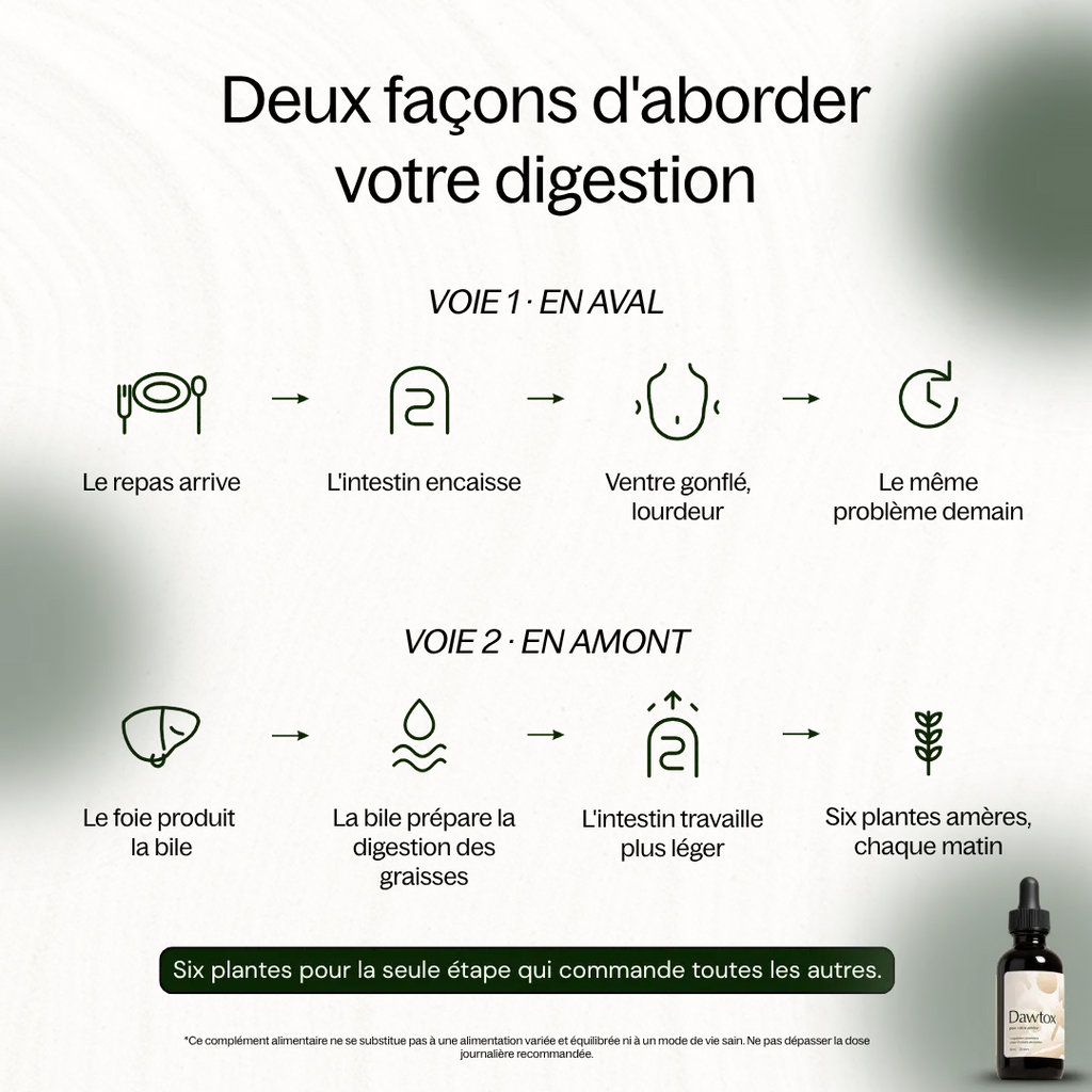 Dawtox - Soutien Foie & Intestin