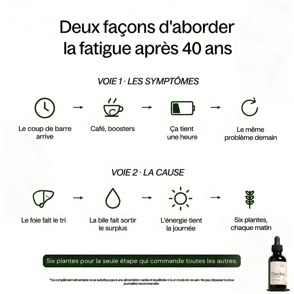 Dawtox - Soutien Foie & Intestin