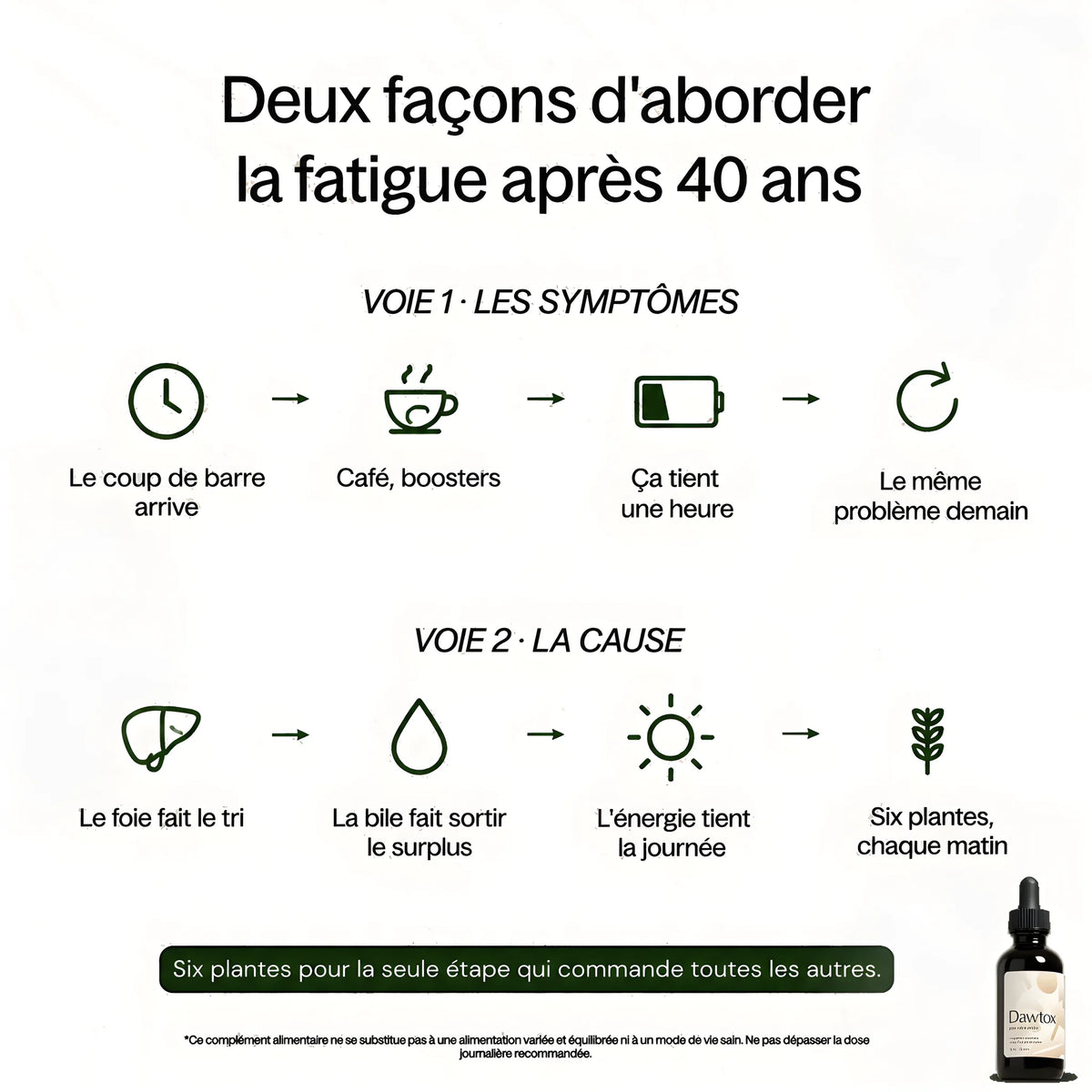 Dawtox - Soutien Foie & Intestin