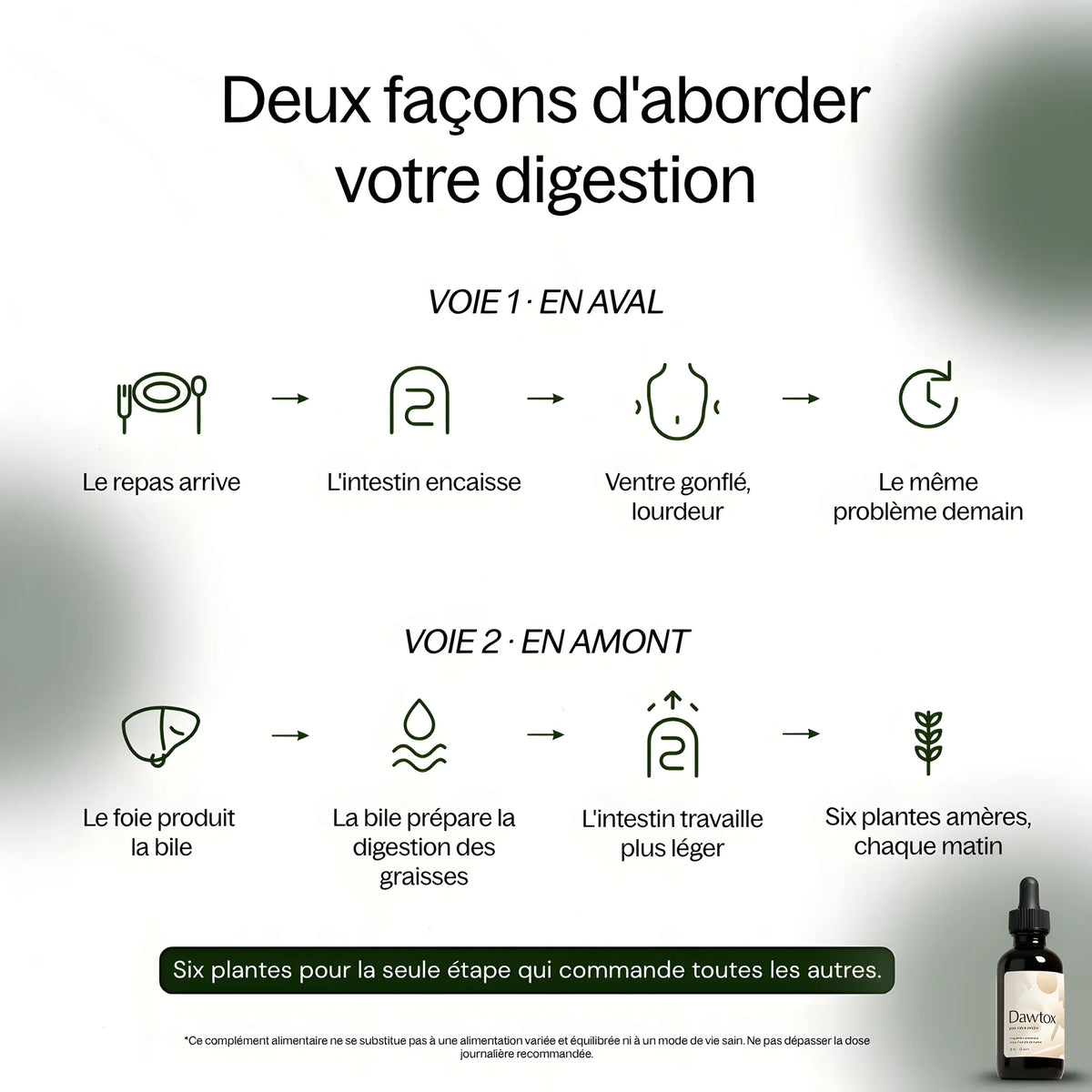 Dawtox - Soutien Foie & Intestin